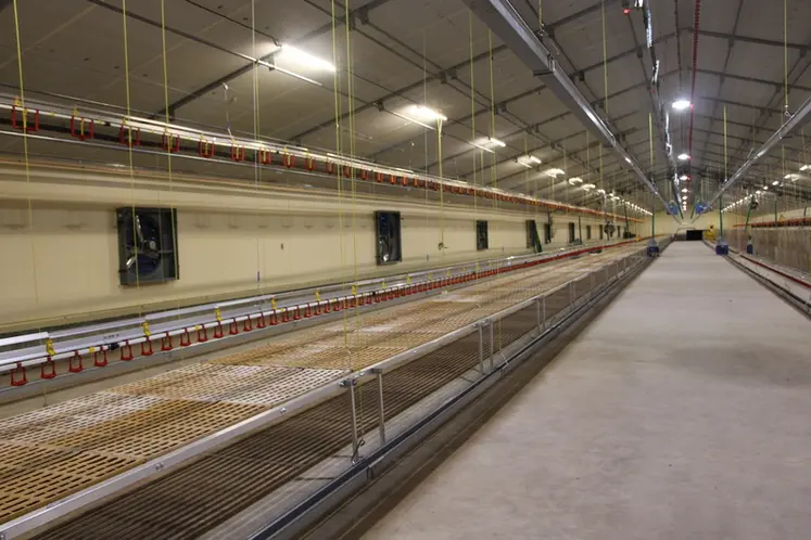 <em class="placeholder">Galina LDC bâtiment poulettes et coqs</em>