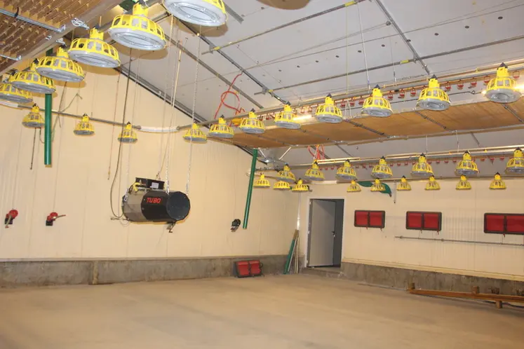 <em class="placeholder">Galina LDC bâtiment poulettes et coqs</em>