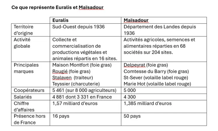 <em class="placeholder">Volailles : quatre coopératives pour deux fusions dans le sud-ouest</em>