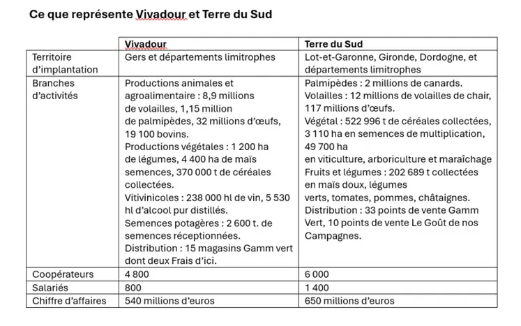 <em class="placeholder">Volailles : quatre coopératives pour deux fusions dans le sud-ouest</em>