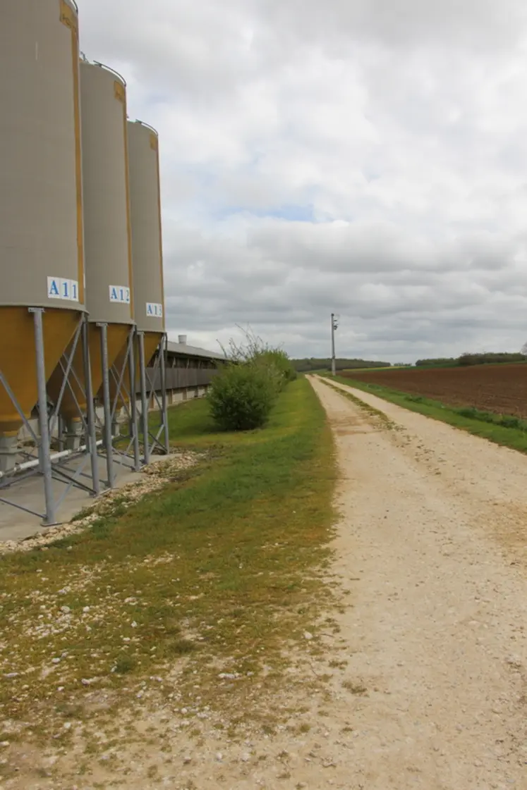 <em class="placeholder">Le Gaec a refait à ses frais un chemin qui évite le passage des camions dans le bourg. </em>