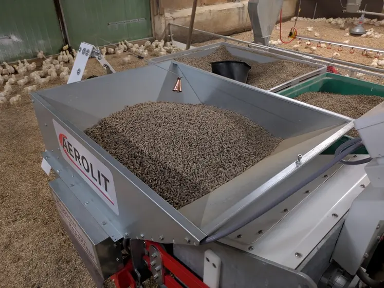 <em class="placeholder">La trémie de 250 l est remplie au seau. Yoann Le Mée prévoit de s'équiper d'un silo extérieur avec une vis acheminant les granulés dans le bâtiment.</em>