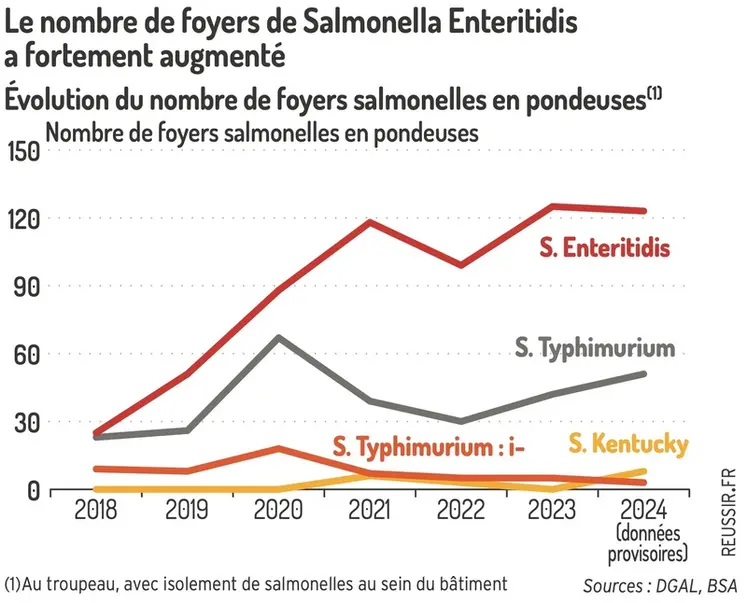 <em class="placeholder">Graphique = Le nombre de foyers de Salmonella Enteritidis a fortement augmentéÉvolution du nombre de foyers salmonelles en pondeuses(1)(1) Au troupeau, avec isolement de ...</em>