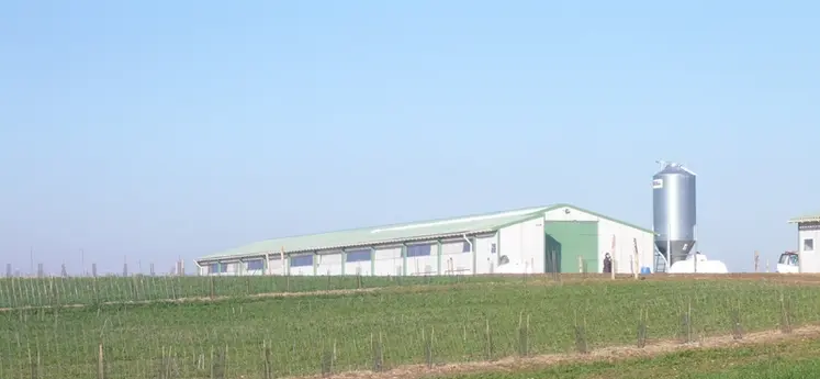 <em class="placeholder">Euralis veut redynamiser sa filière Volaille et propose une offre diversifiée aux éleveurs dont la production de poulet standard élevé en 42 jours. </em>
