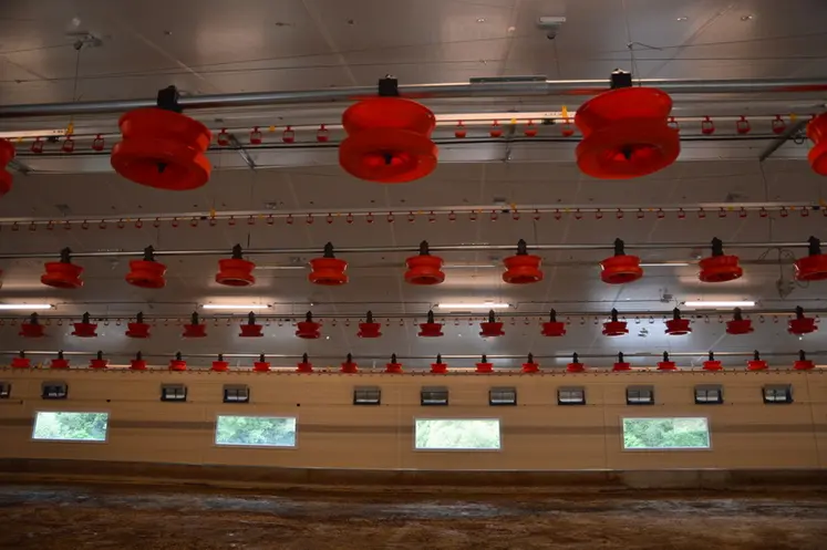 <em class="placeholder">fenêtres pour l&#039;éclairage naturel du poulailler Nature d&#039;Eleveur</em>