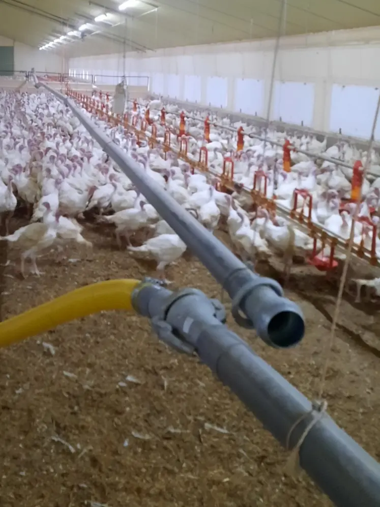 <em class="placeholder">Lorsque l&#039;alimentation dans le bâtiment s&#039;effectue par un tuyau rigide, il faut prévoir plusieurs connexions permettant de couvrir l&#039;ensemble de la surface avec le tuyau ...</em>