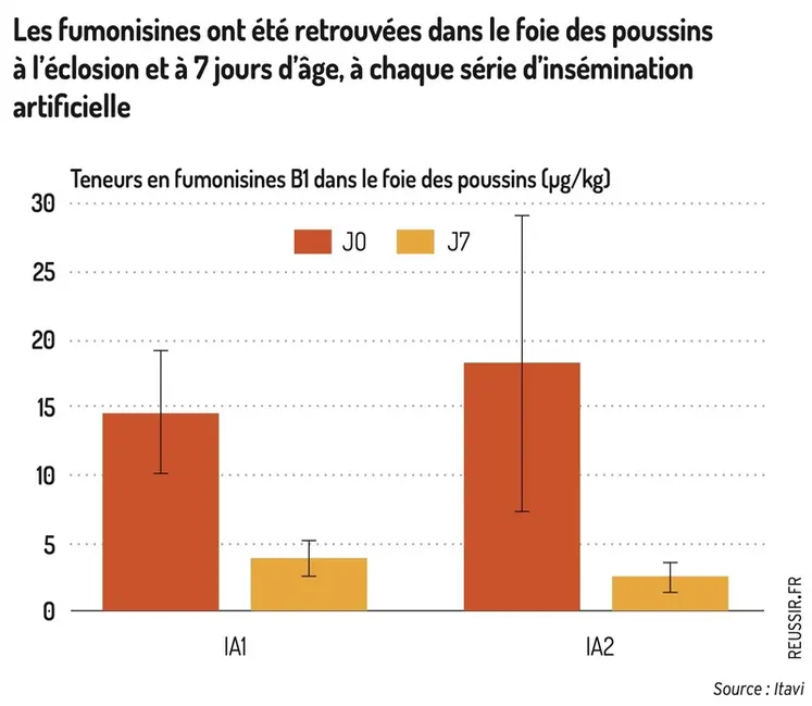<em class="placeholder">Graphique = Les fumonisines ont été retrouvées dans le foie des poussinsà l’éclosion et à 7 jours d’âge, à chaque série d’inséminationartificielleTeneurs en ...</em>