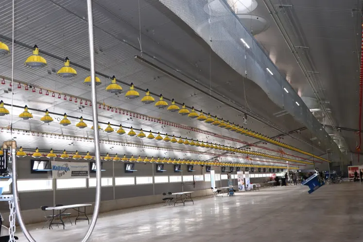 <em class="placeholder">« Mon bâtiment de poulets de chair a mis sept ans à voir le jour »</em>