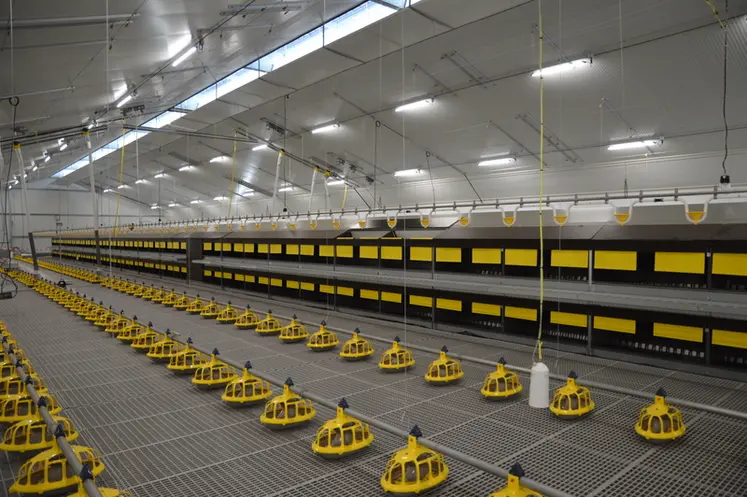 <em class="placeholder">Samuel Beneul a choisi des pipettes SparCup et des assiettes Laïca. « Avec des assiettes, toutes les poules mangent en même temps, il y a moins de tri », souligne ...</em>