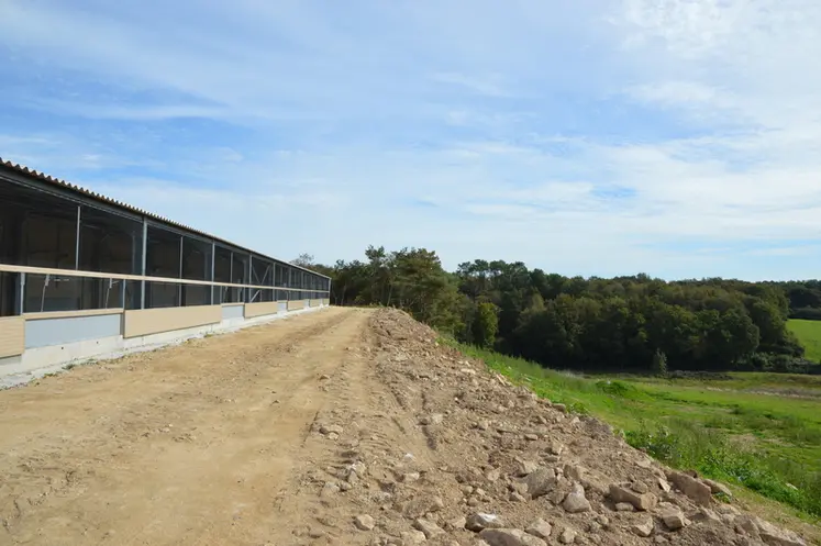 <em class="placeholder">Depuis les jardins d’hiver, les poules ont accès à 13 hectares de parcours ombragés.</em>