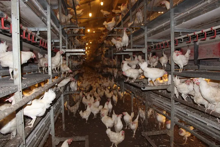 <em class="placeholder">Neufs mois de travaux ont été nécessaires pour transformer les bâtiments.</em>