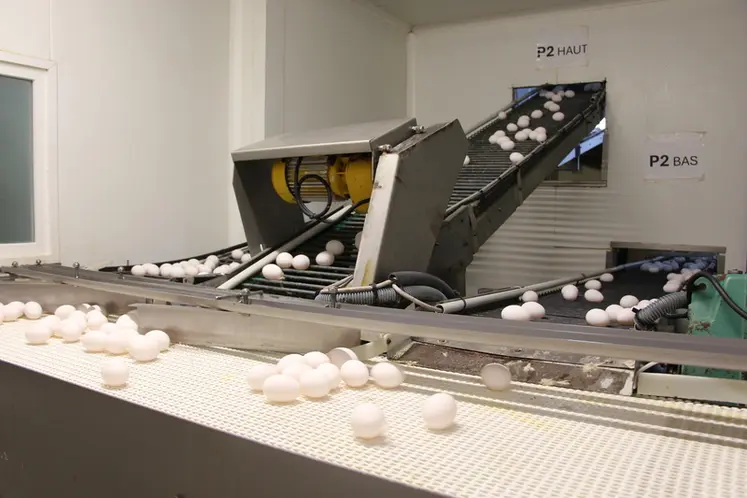 <em class="placeholder">Les œufs des deux bâtiments rénovés arrivent à la casserie par des convoyeurs.
</em>