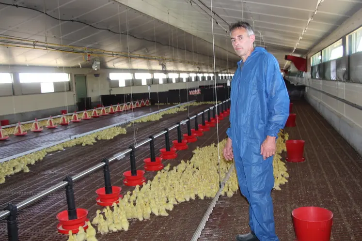 <em class="placeholder">Hilaire Bousseau parvient à limiter ses pertes en canetons à 0,4% en moyenne.</em>