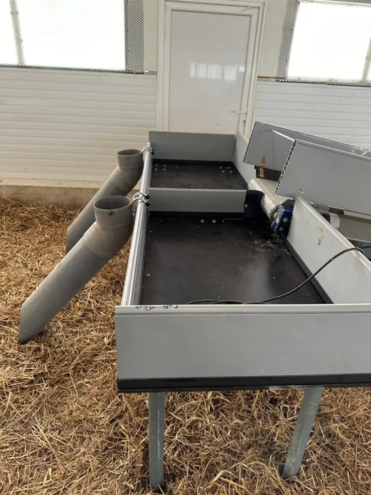 <em class="placeholder">Guillian et Régis Massey, éleveurs de canards dans les Landes : « Ce tapis motorisé est simple, sûr et efficace. Il génère moins de fatigue et de stress pour les ...</em>