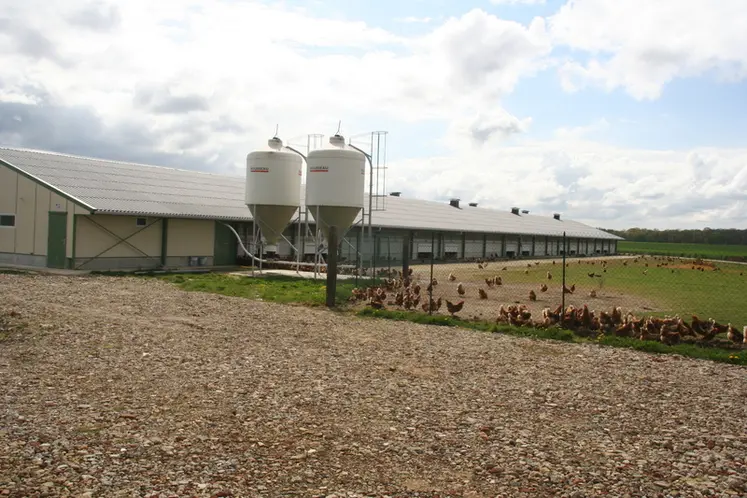 <em class="placeholder">bâtiment poule pondeuse Cocorette</em>