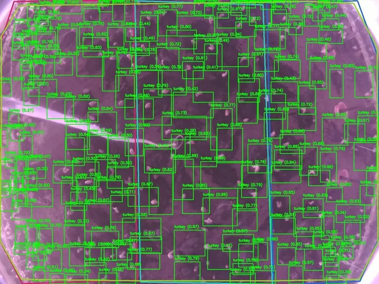 <em class="placeholder">Image prise par la caméra TellCozy dans l'élevage des RIVOAL</em>