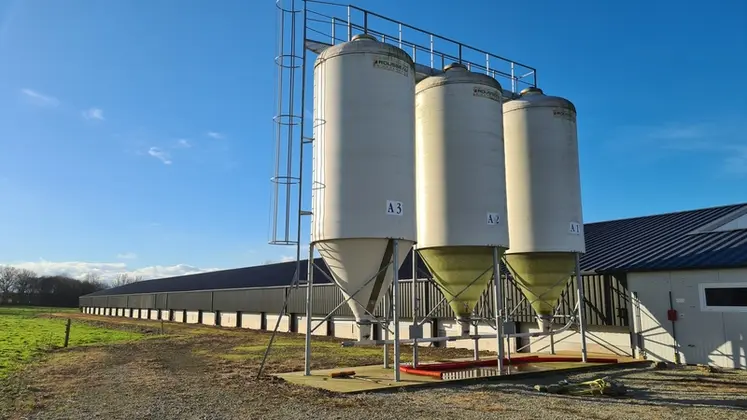 <em class="placeholder">Les émissions indirectes sont liées à la fabrication et à l’acheminement des intrants jusqu’à l’exploitation (poussins, énergies, aliment et litière).</em>