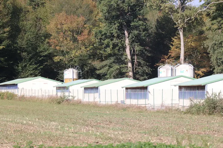 <em class="placeholder">Bâtiments dans le sud-ouest de la France</em>