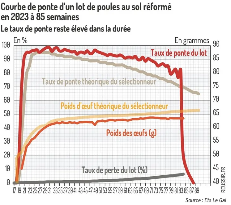 <em class="placeholder">Graphique = Courbe de ponte d’un lot de poules au sol réformé en 2023 à 85 semainesLe taux de ponte reste élevé dans la durée</em>