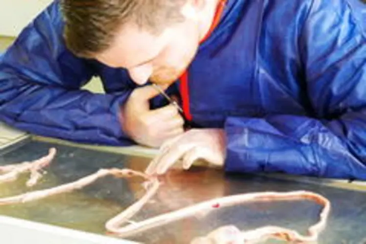 formation coccidiose Elanco