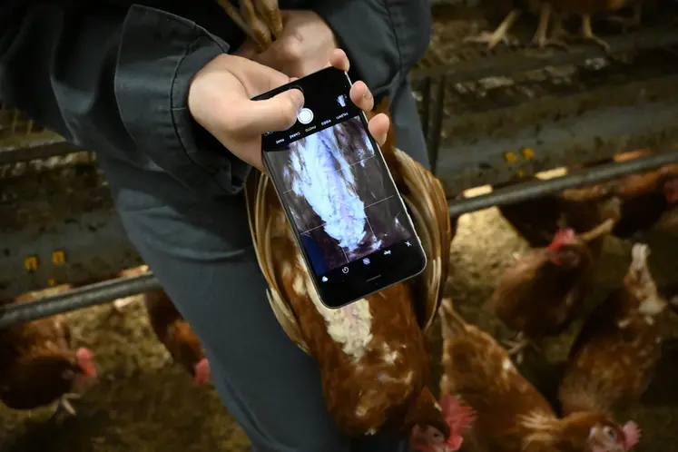 <em class="placeholder">L’outil testé à partir d'images par Smartphone permet une précision de 72% de détection de déviation par rapport au scanner.</em>