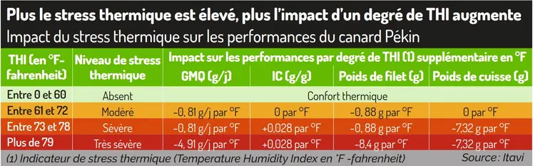 Plus le stress thermique est élevé, plus l’impact d’un degré de THI (1) augmente  Impact du stress thermique sur les performances du canard Pékin  note : (1) Indicateur de stress thermique (Temperature Humidity Index en °F)  Exemple : lors d’un stress très sévère (en rouge fonçé), le GMQ diminue de près de 5 g/j pour chaque degré de THI supplémentaire