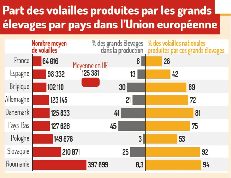 Part des volailles produites par les grands élevages par pays dans l'Union européenne
