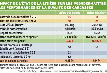 Cinq priorités pour dorloter le chapon fermier