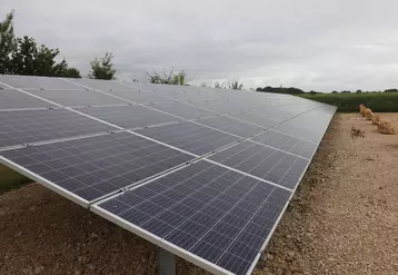 Le secteur agricole a l'opportunité de prendre sa part dans la développement de l'électricité solaire, pour lequel un quasi quadruplement des capacités est attendu d'ici 2028. © P. Le Douarin