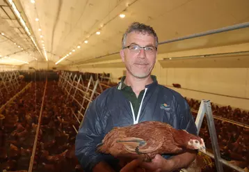 Vincent Troel a redécouvert son métier d'éleveur de poulettes. « Se mettre en conformité avec les nouvelles règles bio ne doit pas effrayer. » © P. Le Douarin