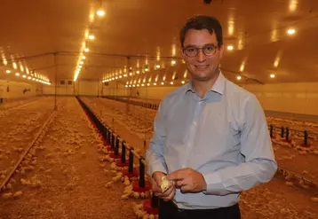 En choisissant le poulet conventionnel avec Nealia, Julien Valentin revient à l'élevage et joue la carte du poulet 100% local (sauf le poussin). © P. Le Douarin
