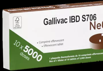 Le vaccin Gumboro Gallivac IBD S706 NeO se présente sous forme de comprimés effervescents, conservés au réfrigérateur.  © Boehringer Ingelheim