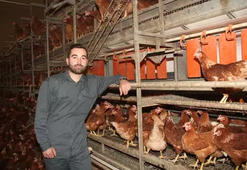 Adrien Hervault : « La première semaine, je déclenche manuellement la distribution de l’aliment pour bien caler les quantités et veiller à ce que les poules ne fassent pas de tri. » © A. Puybasset
