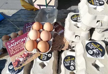 Le 14 octobre à Paris a eu lieu la vente des « 10 000 derniers œufs de poules en plein air ».