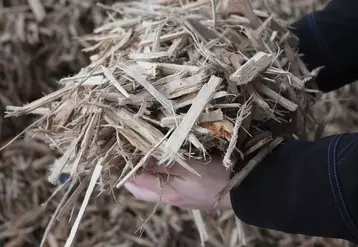 Les éleveurs bretons ont besoin d’un vrai coup de pouce pour utiliser plus de bois comme combustible de remplacement du gaz.