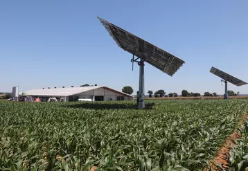 OKwind est le leader français des trackers solaires destinés au secteur agricole.