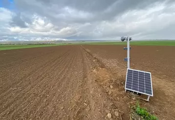 Alimenté par des panneaux solaires, le prototype Galinios a fait la preuve de son concept sur une parcelle de blé d’hiver de la ferme expérimentale d’AgroParisTech.