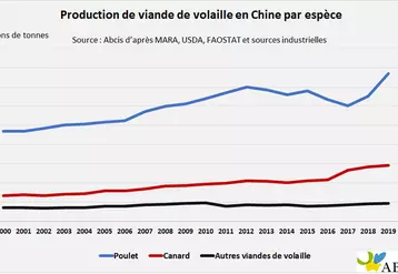 La production chinoise de volailles est repartie en forte croissance en 2018 avec l'épidémie de peste porcine sur le territoire chinois. © Abcis
