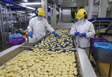 L’usine Cargill fabrique 40 000 tonnes de produits panés, avec 250 personnes se relayant nuit et jour, sauf le week-end.