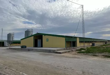 Sur le site d'élevage d'Enfidha de l'intégrateur Sopat, ces deux bâtiments de 1 400 m2 produisent du poulet sexé de 40 jours, destinés au marché intérieur.