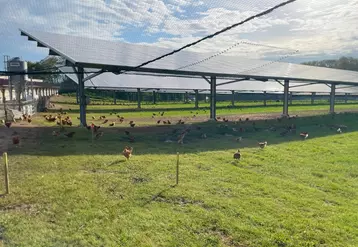 Le parcours de l'élevage de poulets Label rouge du Lot-et-Garonne est équipé de six ombrières Technique solaire de 2,1 MW de puissance.