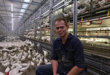 <em class="placeholder">Evert Van Kruistum a investi 1,2 million d’euros dans un bâtiment en volière pouvant abriter 37 000 poulettes conventionnelles </em>