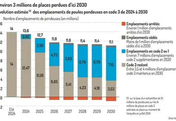 <em class="placeholder">Graphique = Environ 3 millions de places perdues d’ici 2030Évolution estimée (1) des emplacements de poules pondeuses en code 3 de 2024 à 2030</em>