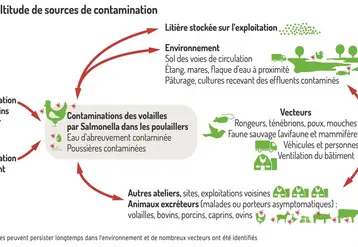 <em class="placeholder">Graphique = Une multitude de sources de contaminationLes salmonelles peuvent persister longtemps dans l’environnement et de nombreux vecteurs ont été identifiés</em>