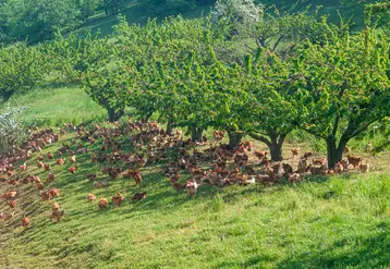 <em class="placeholder">La présence des zones arborées permet de réduire de 4 à 5 °C la température en été aux heures les plus chaudes de la journée (entre 11 et 17 heures).</em>