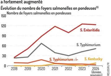<em class="placeholder">Graphique = Le nombre de foyers de Salmonella Enteritidis a fortement augmentéÉvolution du nombre de foyers salmonelles en pondeuses(1)(1) Au troupeau, avec isolement de ...</em>