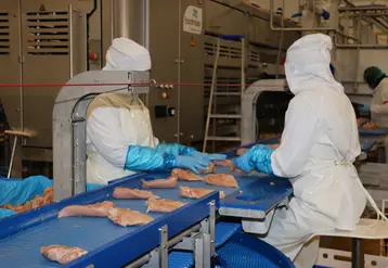 <em class="placeholder">Sur le site de poulet lourd de Languidic, 100 % des produits sont au minimum désossés, voire découpés en pièces et calibrés.</em>