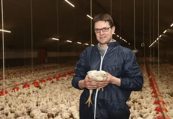 <em class="placeholder">Aymeric Pothier, éleveur de poulet lourd dans le Morbihan : « L&#039;élevage de poulets lourds 100% mâles est plus facile à gérer. » </em>