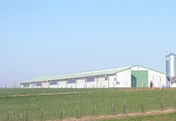 <em class="placeholder">Euralis veut redynamiser sa filière Volaille et propose une offre diversifiée aux éleveurs dont la production de poulet standard élevé en 42 jours. </em>