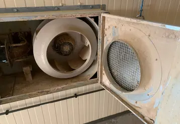 <em class="placeholder">Un bâtiment de volaille propre mais un générateur encrassé.</em>